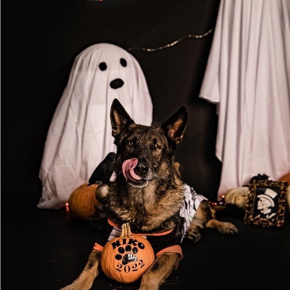 Meet your Posher, Susan - Picture 15 of 16